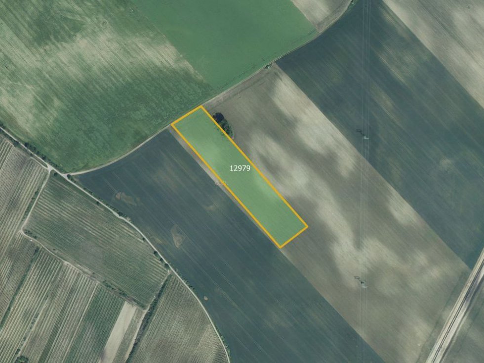 Prodej zemědělské půdy 26029 m², Mutěnice