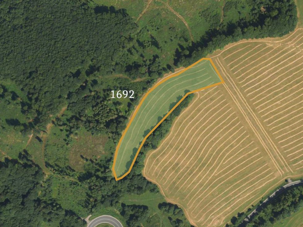 Prodej louky 11765 m², Lipina