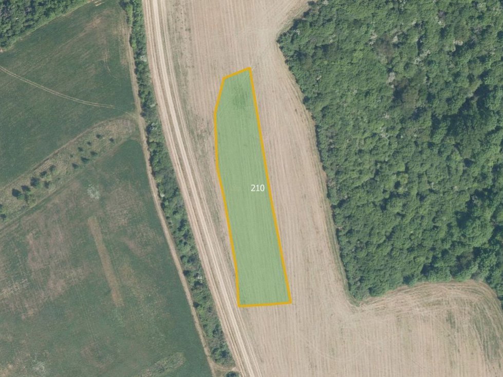 Prodej zemědělské půdy 4169 m², Babice