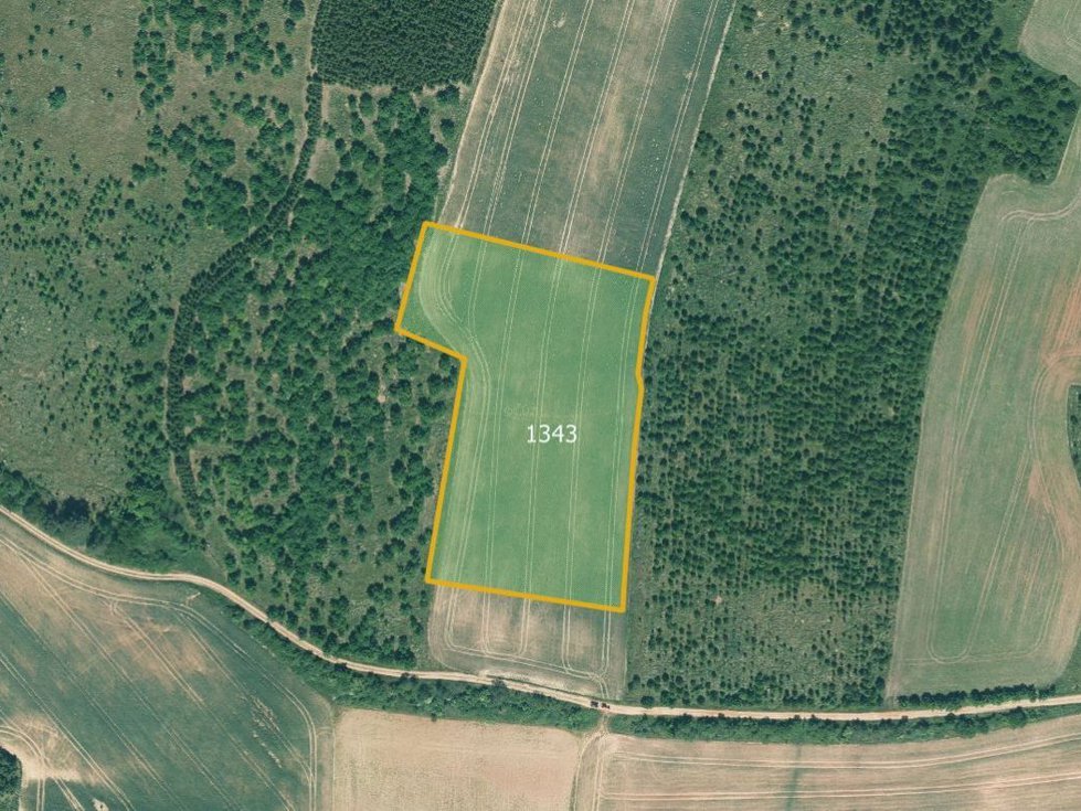 Prodej zemědělské půdy 13286 m², Řeřichy