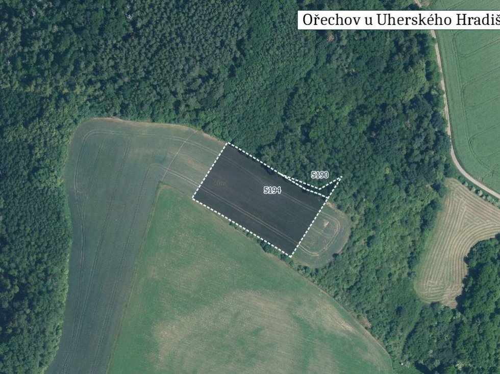 Prodej zemědělské půdy 12328 m², Ořechov