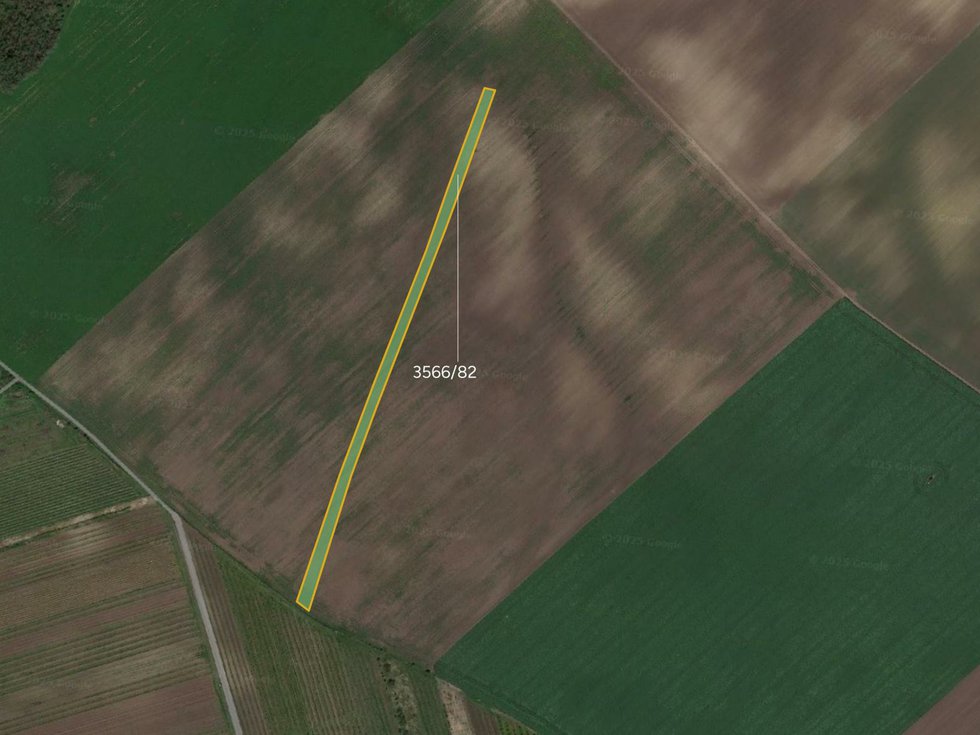 Prodej zemědělské půdy 8286 m², Čejkovice