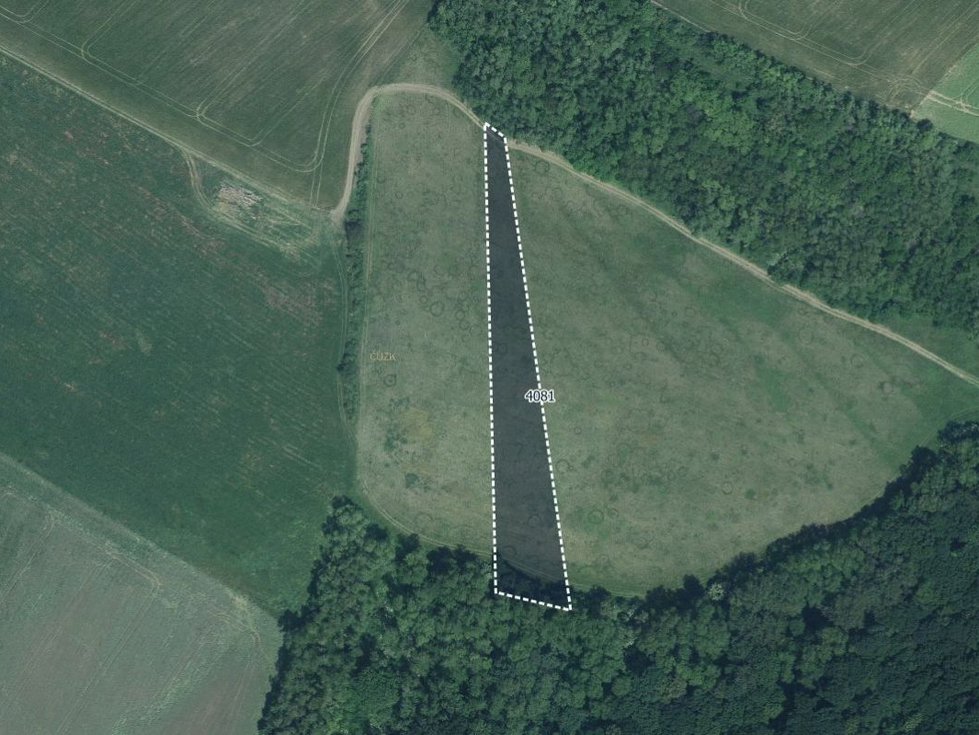 Prodej zemědělské půdy 16427 m², Diváky