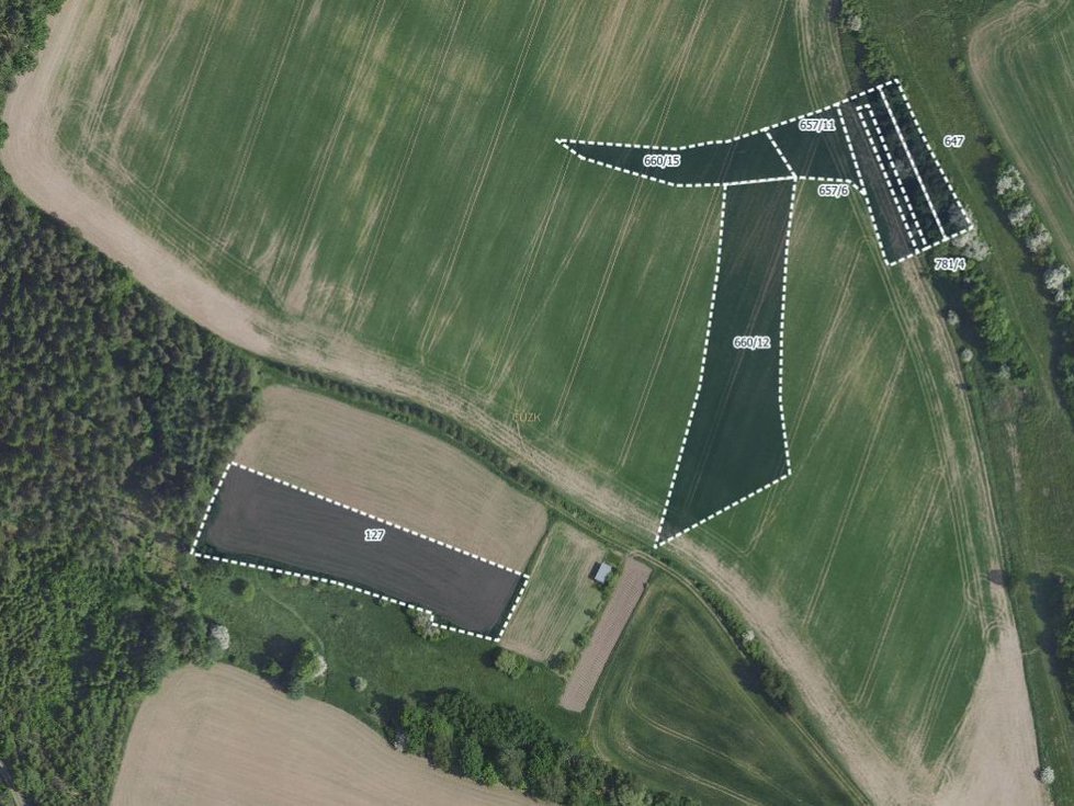 Prodej zemědělské půdy 16035 m², Oplany