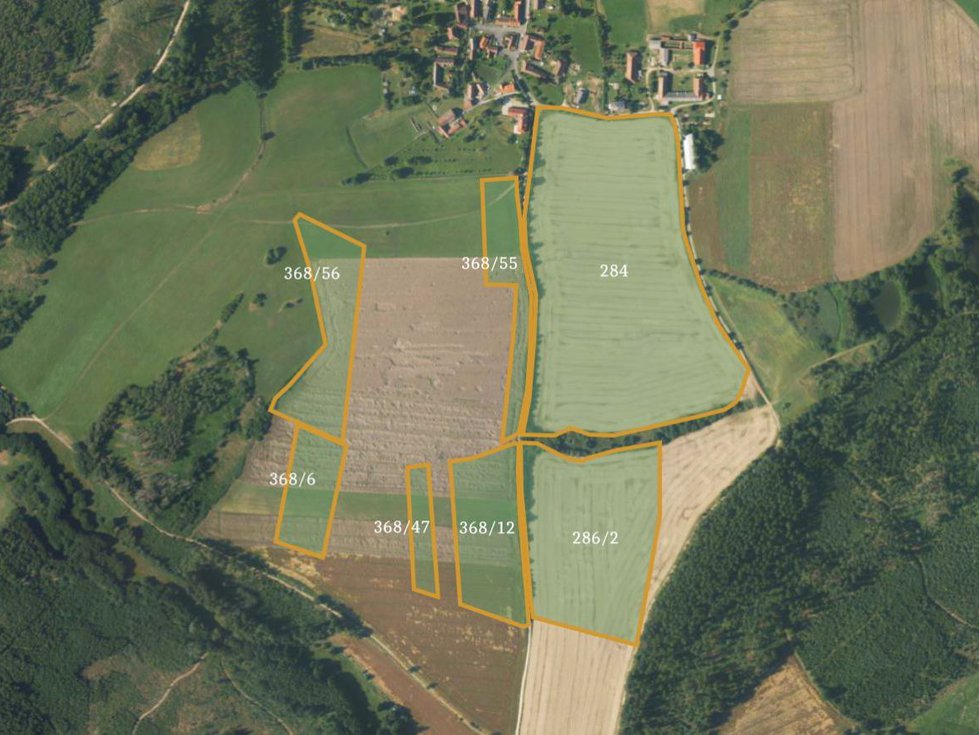 Prodej zemědělské půdy 60983 m², Borovná