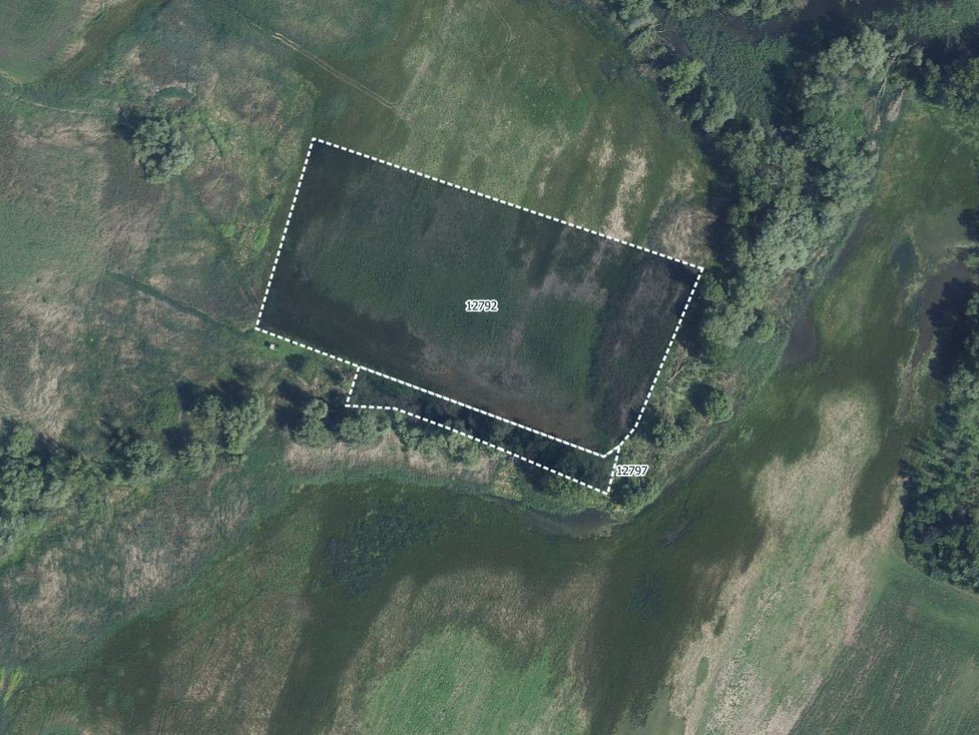 Prodej zemědělské půdy 9343 m², Hrabětice