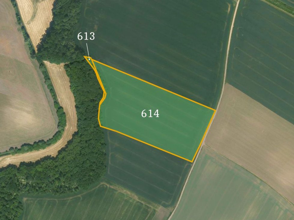 Prodej zemědělské půdy 37789 m², Sluhy