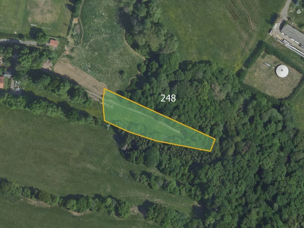 Prodej louky 2888 m², Stříbrná Skalice