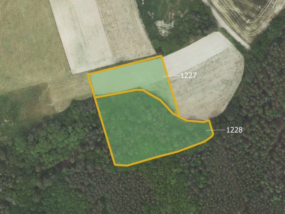 Prodej lesa 9165 m², Podmokly