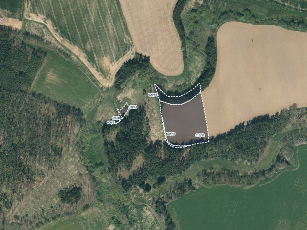 Prodej zemědělské půdy 16897 m², Chýnov