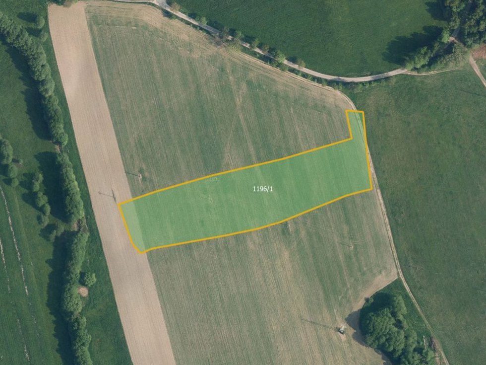 Prodej zemědělské půdy 7306 m², Zásada
