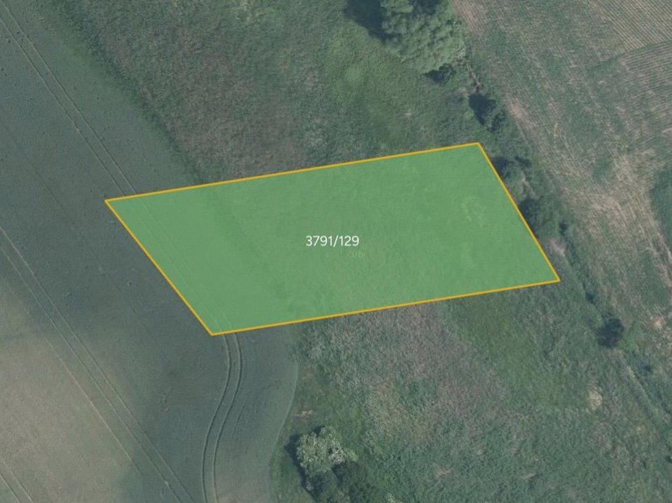 Prodej zemědělské půdy 4160 m², Trstěnice