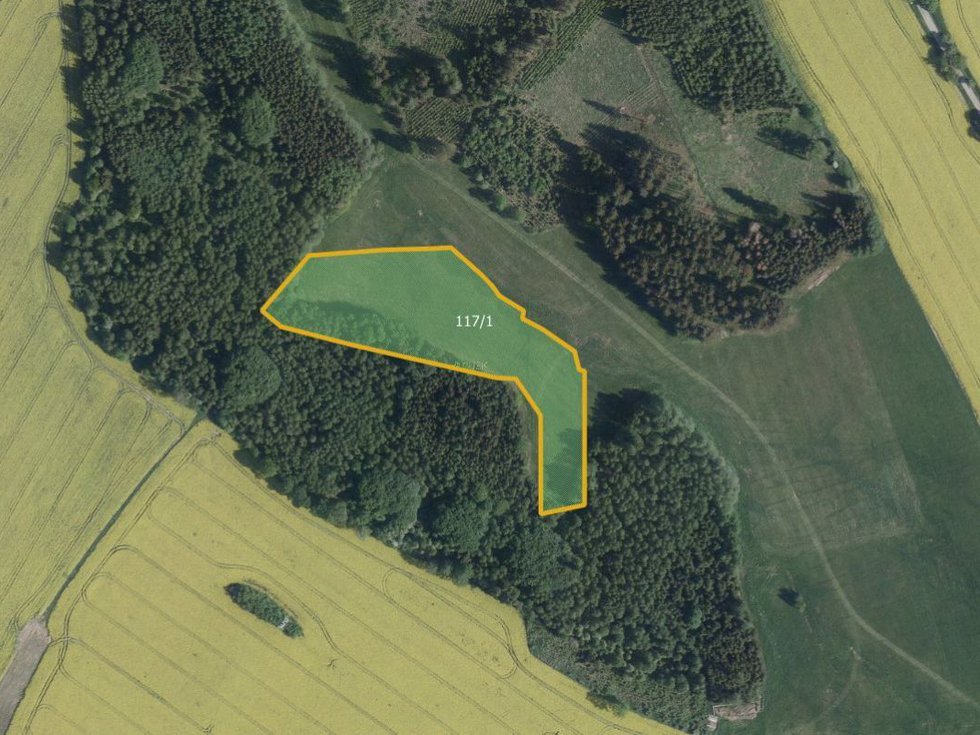 Prodej louky 16864 m², Hořepník