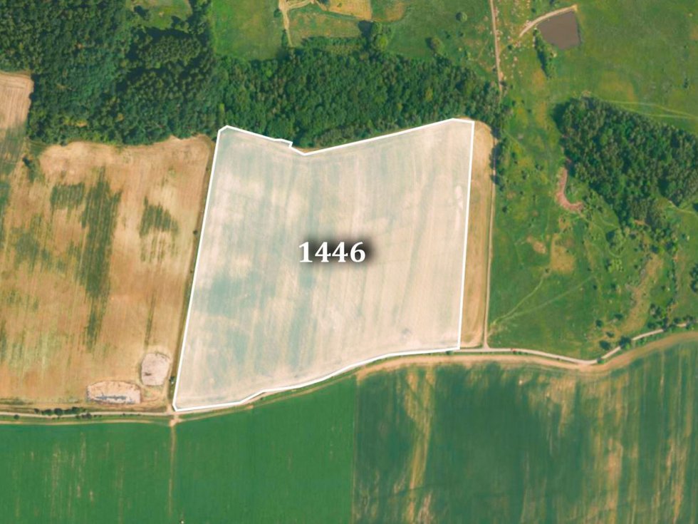 Prodej zemědělské půdy 60614 m², Sadov