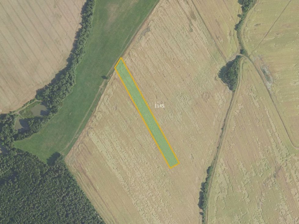 Prodej zemědělské půdy 11602 m², Podluhy