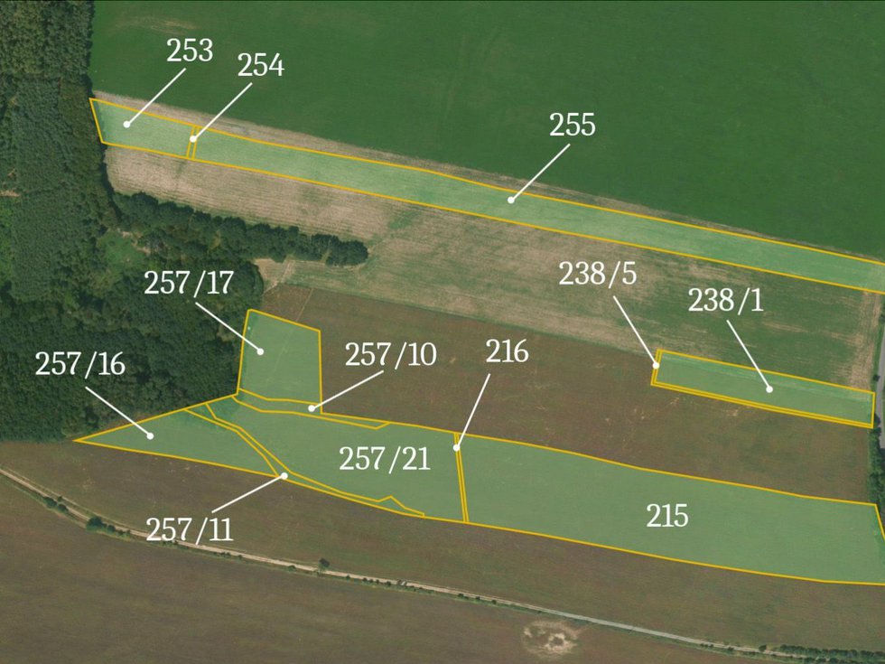 Prodej zemědělské půdy 77951 m², Slabce