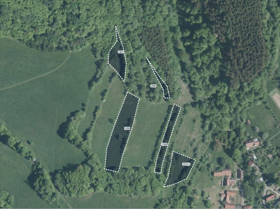 Prodej louky 3216 m², Lužná