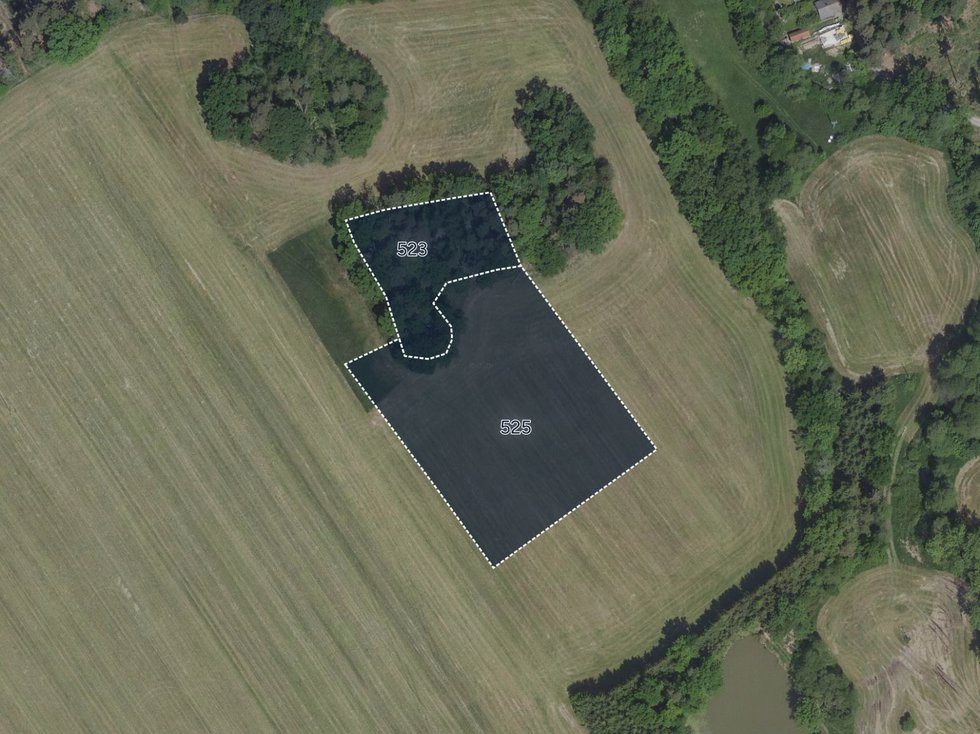 Prodej louky 6880 m², Černíny