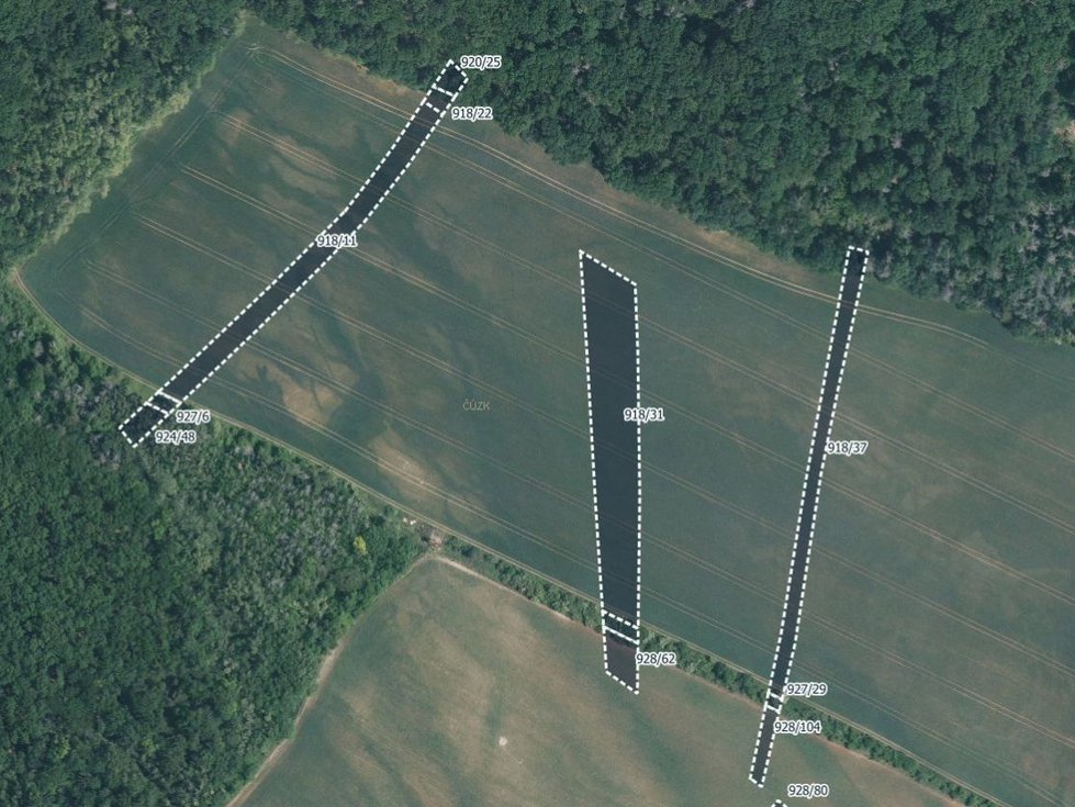Prodej zemědělské půdy 21545 m², Silůvky