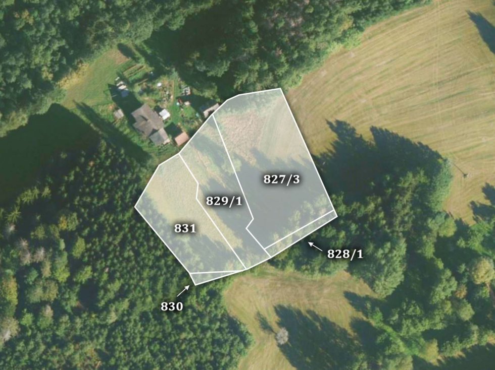 Prodej louky 33872 m², Ohnišov