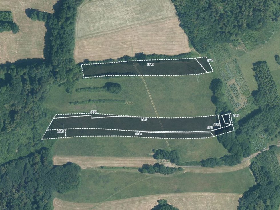Prodej louky 22350 m², Lešná