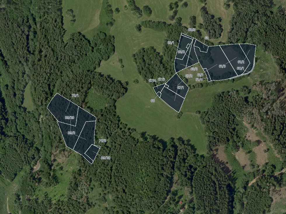 Prodej louky 42835 m², Chlum-Korouhvice