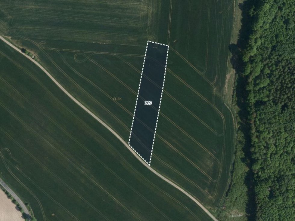 Prodej zemědělské půdy 5025 m², Morašice