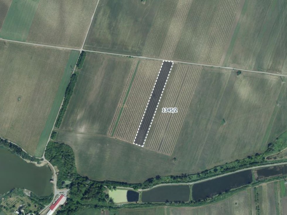 Prodej ostatních pozemků 10059 m², Sedlec