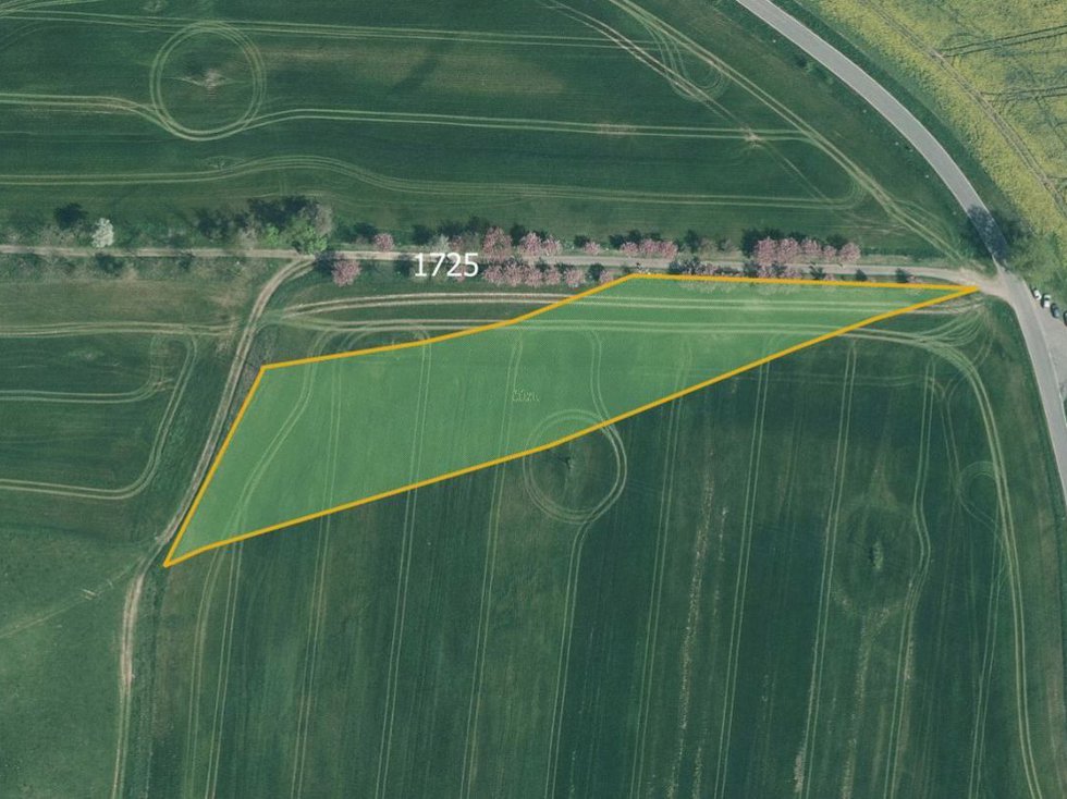 Prodej zemědělské půdy 13719 m², Chudenice