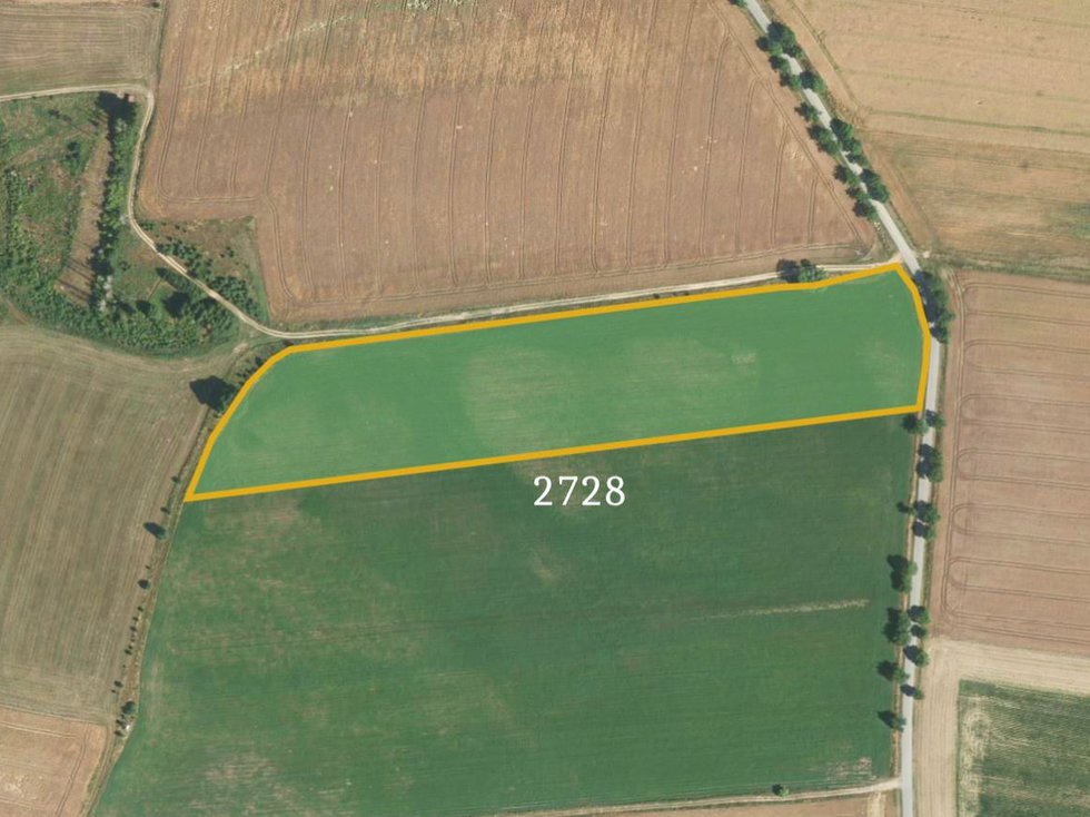 Prodej zemědělské půdy 13892 m², Sázavka