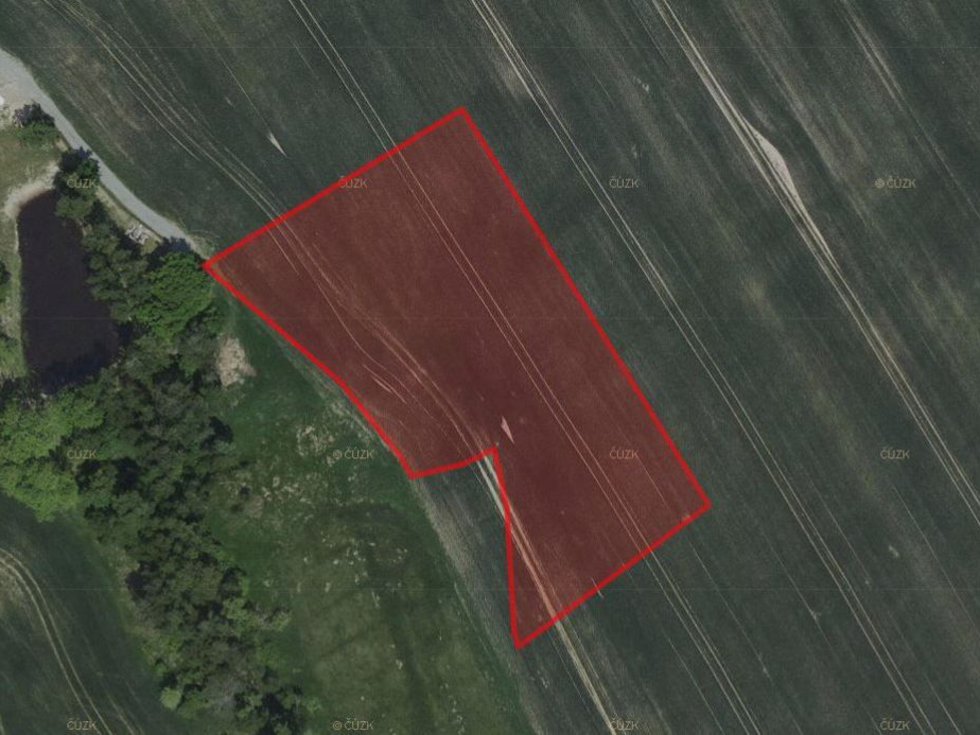 Prodej zemědělské půdy 6231 m², Zbraslavice