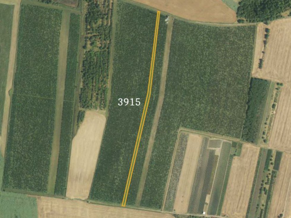 Prodej zemědělské půdy 3215 m², Starovičky