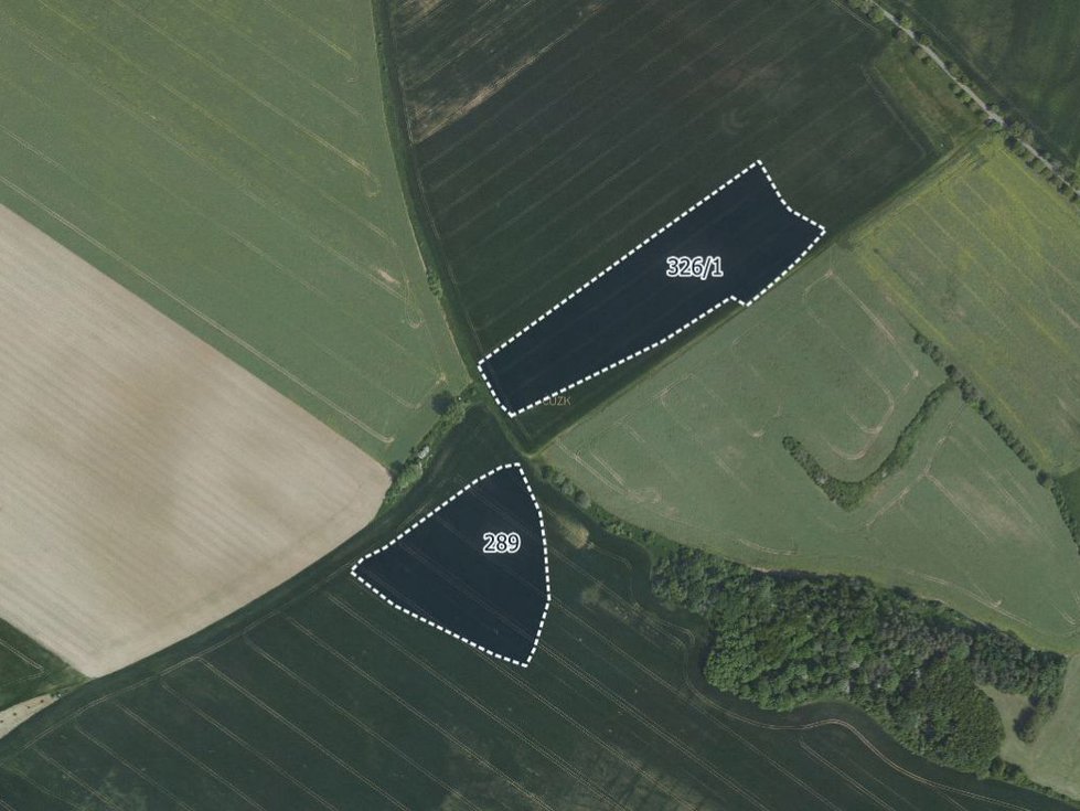Prodej zemědělské půdy 10022 m², Miskovice