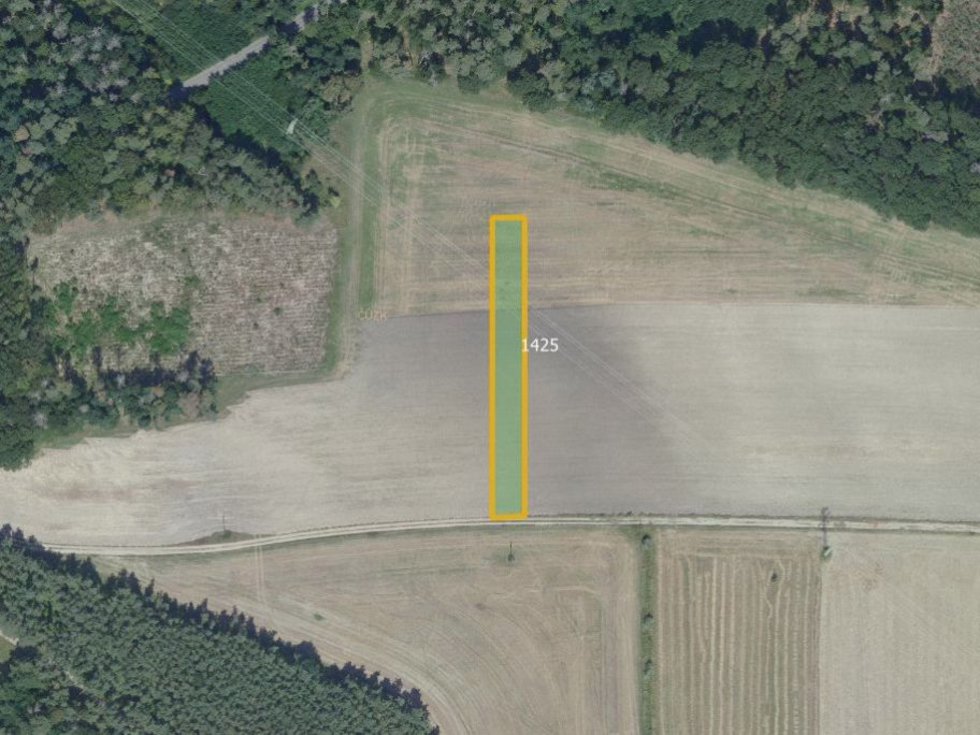 Prodej zemědělské půdy 6341 m², Sány