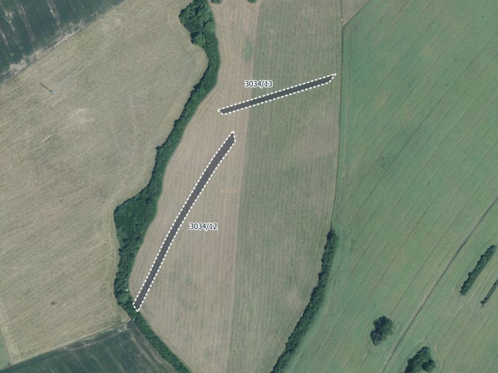 Prodej zemědělské půdy 6128 m², Velká nad Veličkou