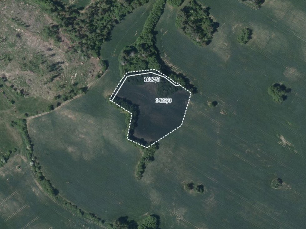 Prodej zemědělské půdy 13691 m², Hroznatín