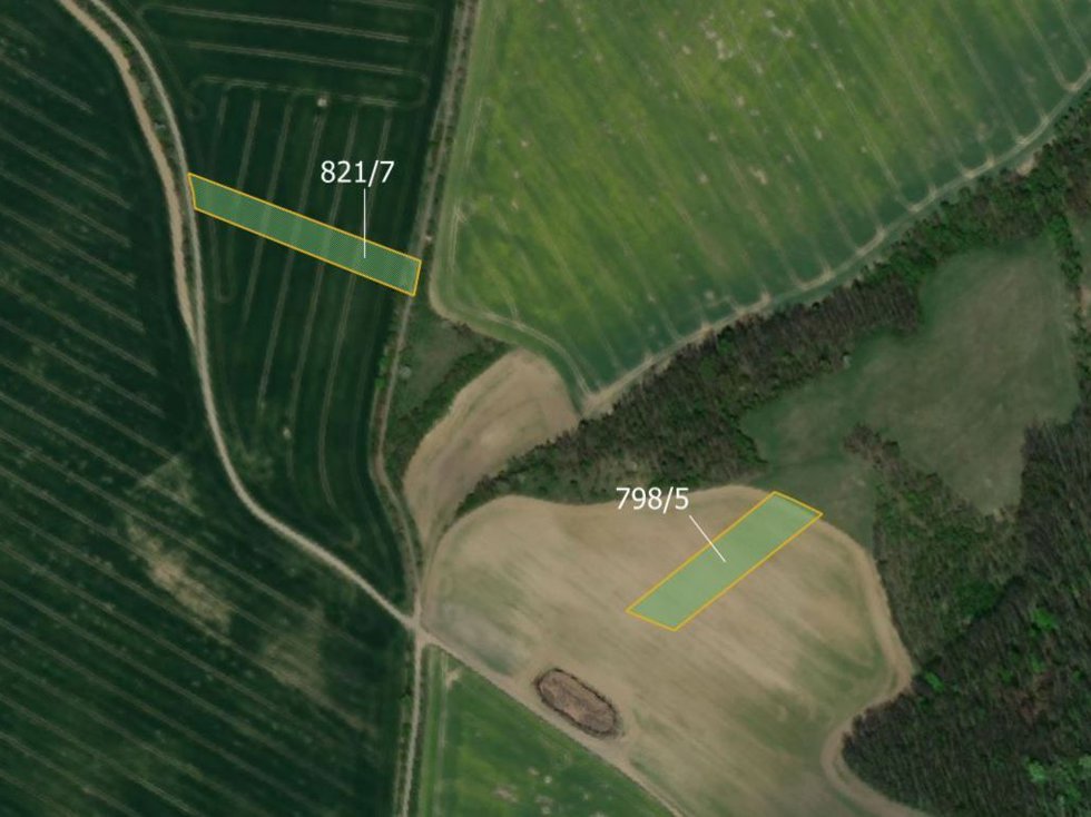 Prodej zemědělské půdy 17754 m², Hoštice