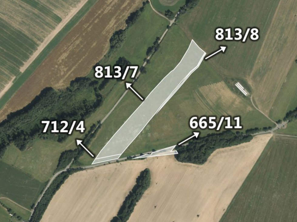 Prodej zemědělské půdy 8017 m², Domašov u Šternberka