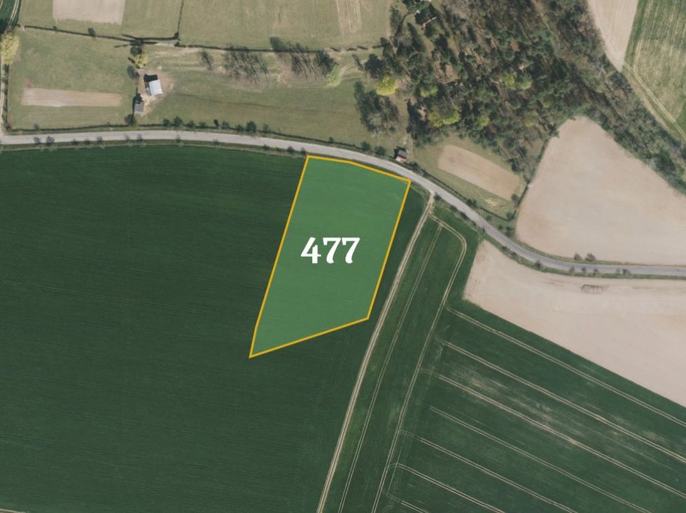 Prodej zemědělské půdy 10420 m², Bělá pod Bezdězem