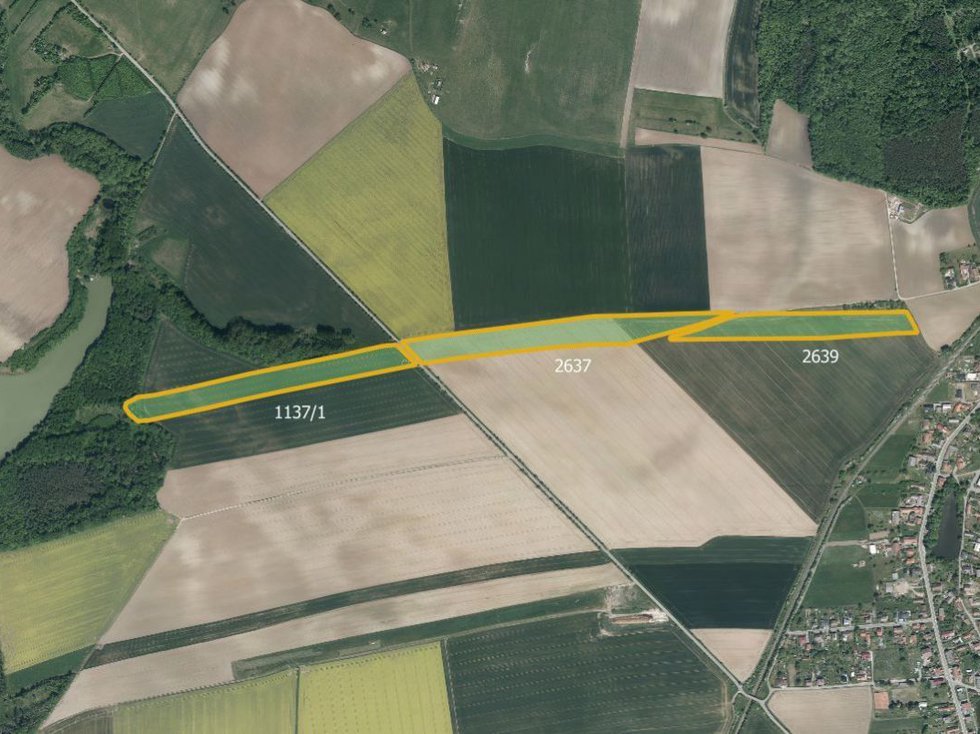 Prodej zemědělské půdy 99138 m², Bohuslavice