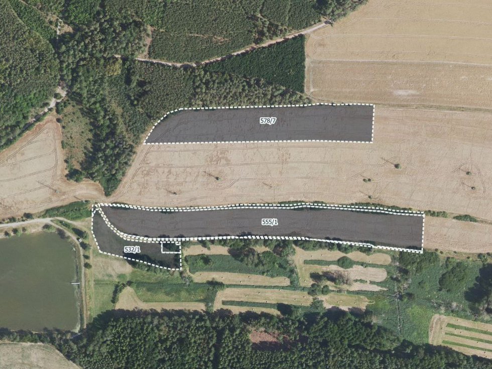Prodej zemědělské půdy 33986 m², Olešná