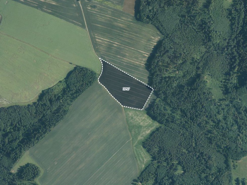 Prodej zemědělské půdy 35246 m², Jindřichov