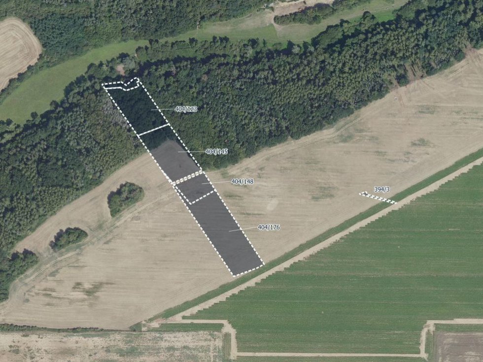 Prodej zemědělské půdy 19741 m², Vyšehořovice