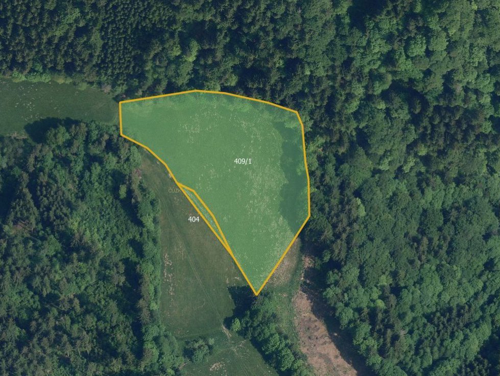 Prodej louky 13529 m², Víchová nad Jizerou