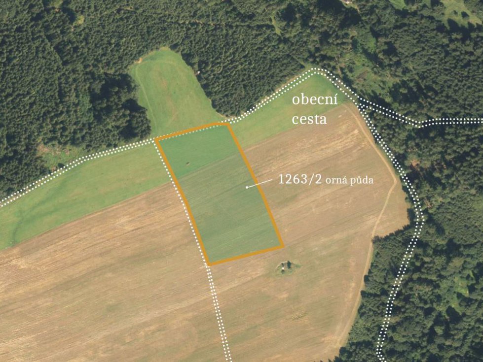 Prodej zemědělské půdy 17028 m², Maletín