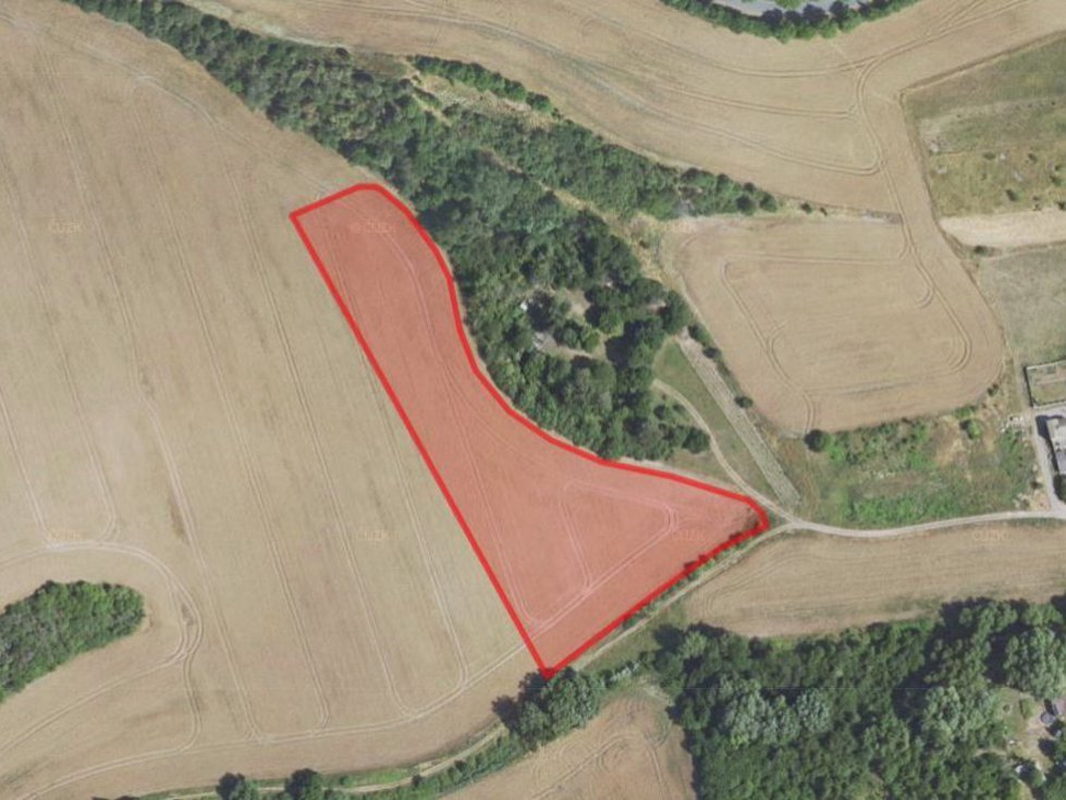 Prodej zemědělské půdy 42047 m², Třebichovice