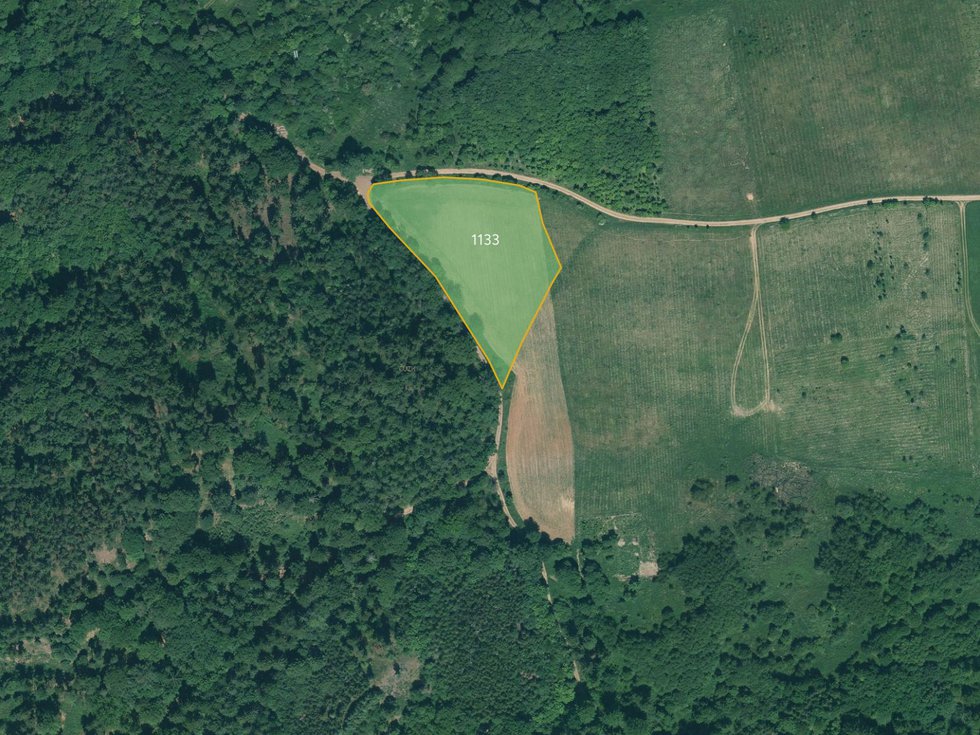 Prodej zemědělské půdy 8143 m², Řeřichy