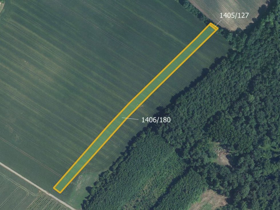 Prodej zemědělské půdy 6005 m², Starý Poddvorov