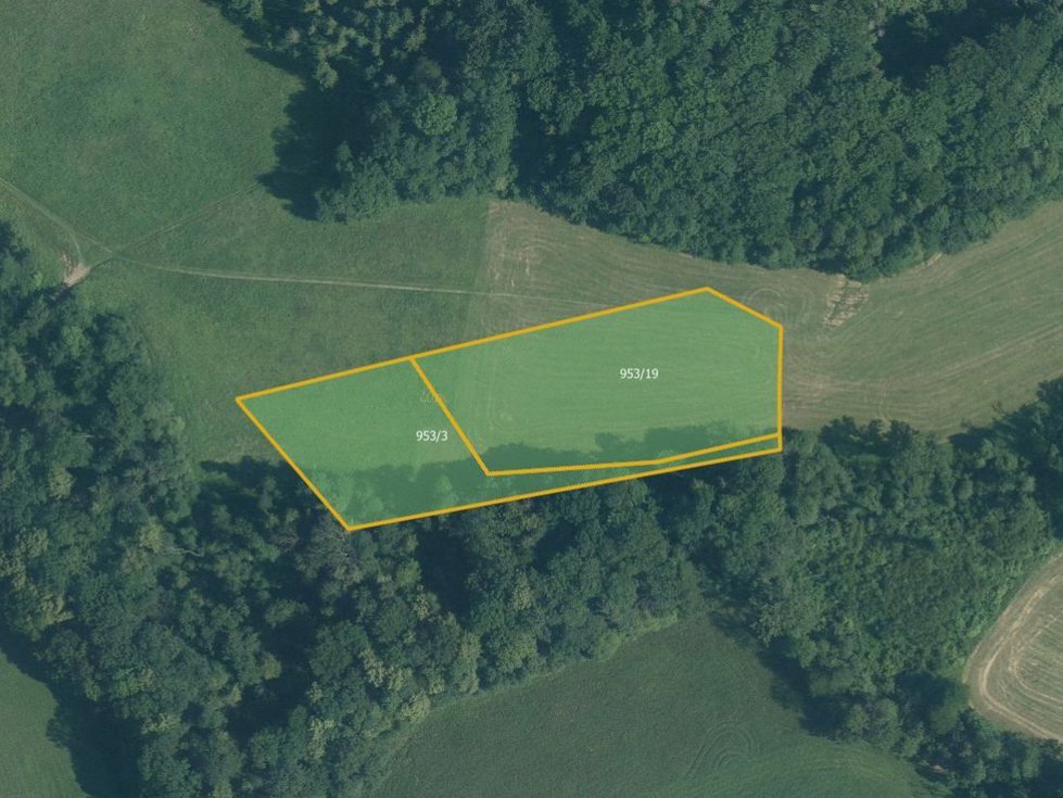 Prodej louky 8628 m², Větřkovice