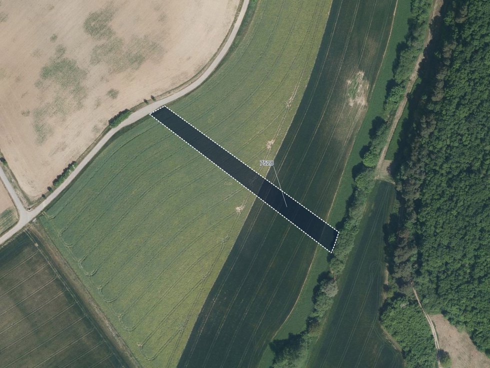 Prodej zemědělské půdy 5984 m², Lovčice